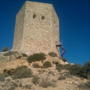 Torre