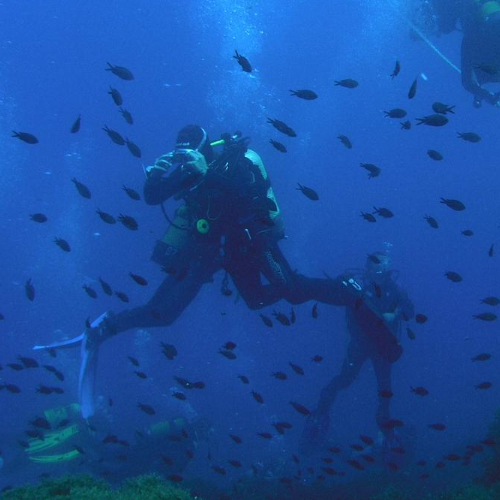 Isla hormigas