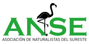 Logo ANSE
